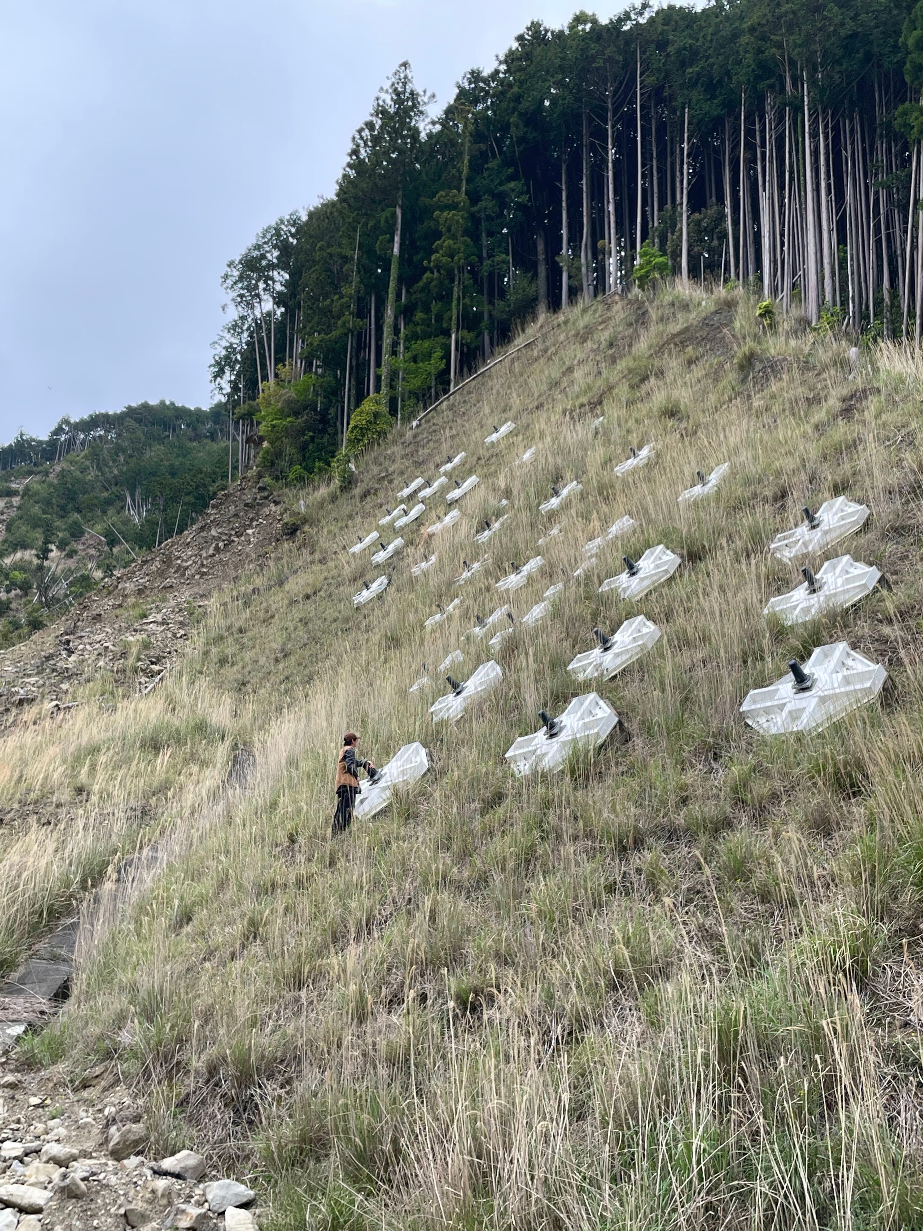 Architecture as Terrain: Its Imagination and Reality
